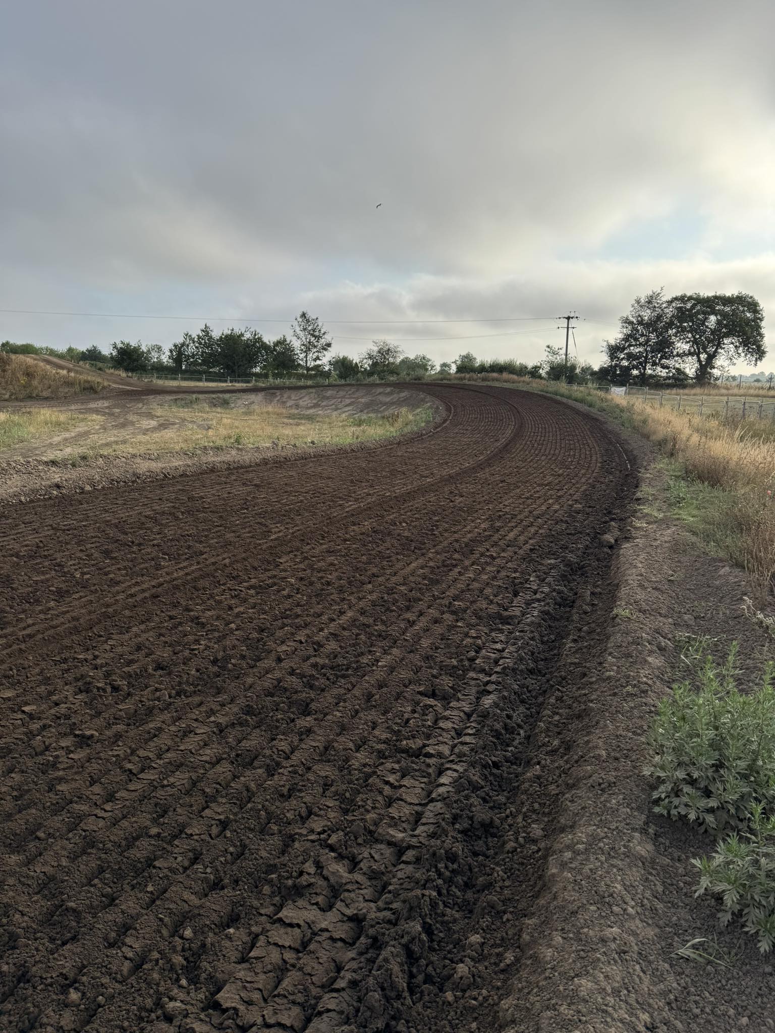 Whitley MX gallery image