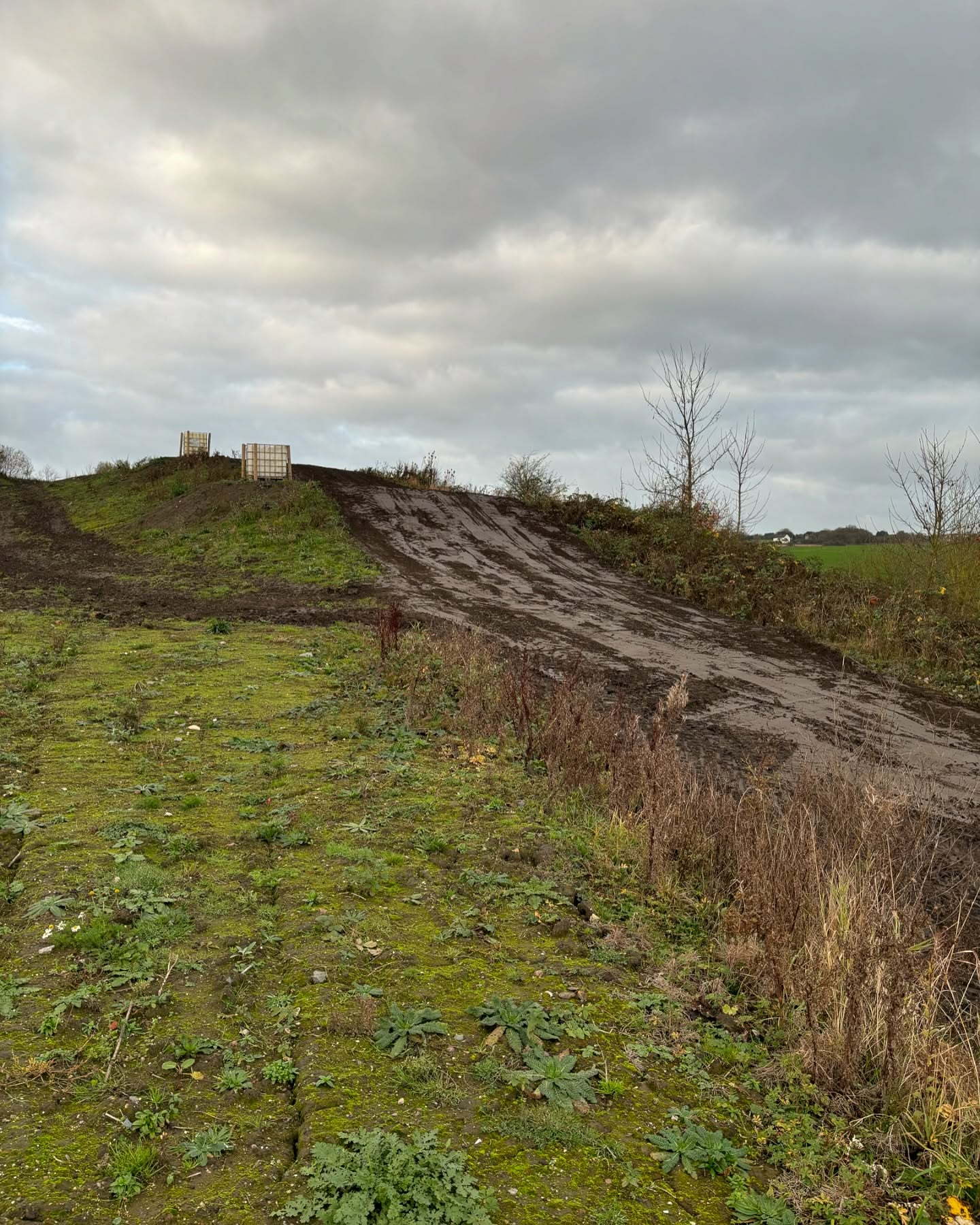 Peacocks Hey gallery thumbnail