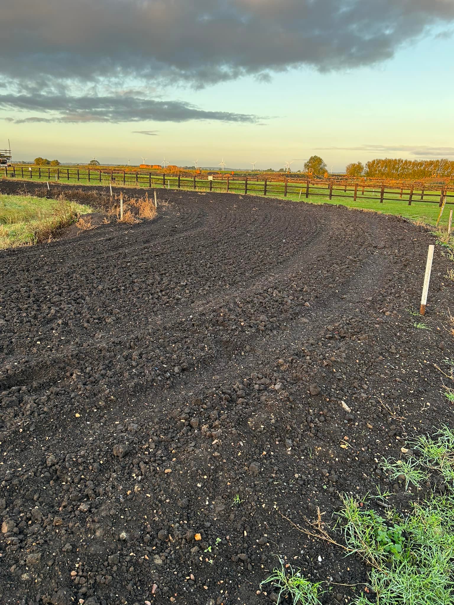 Buttercup Farm gallery image